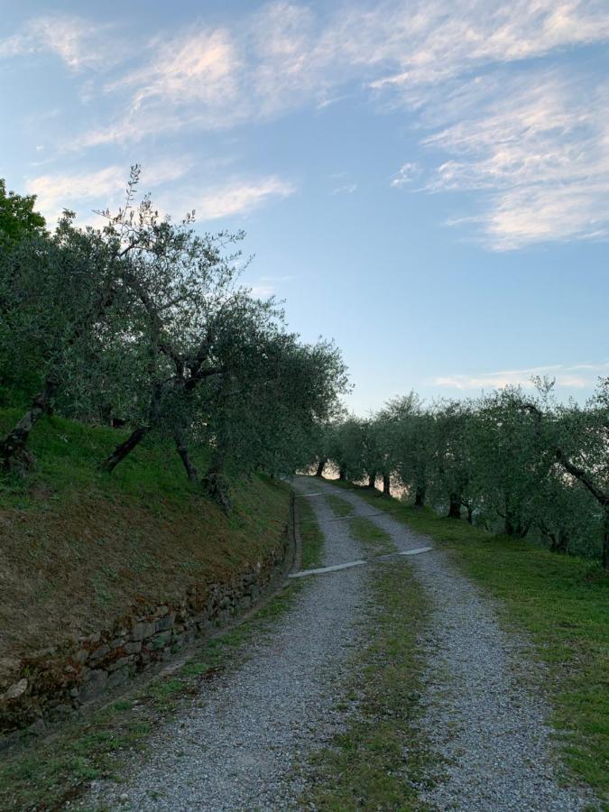 Marziani Rustic Tuscan House Capannori Ngoại thất bức ảnh