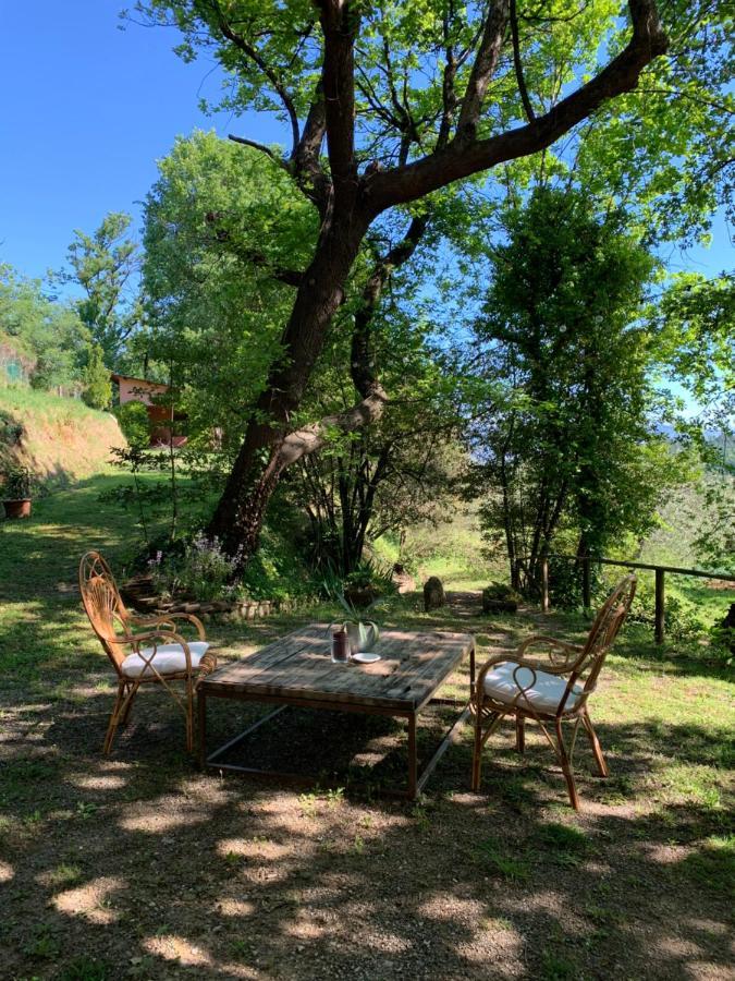 Marziani Rustic Tuscan House Capannori Ngoại thất bức ảnh
