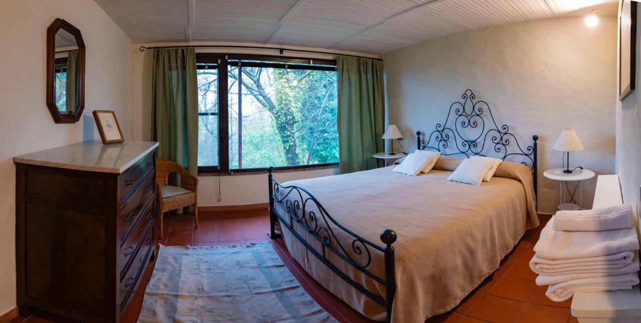 Marziani Rustic Tuscan House Capannori Ngoại thất bức ảnh